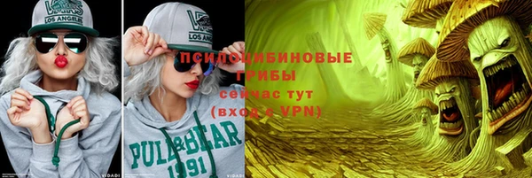 гашик Покров