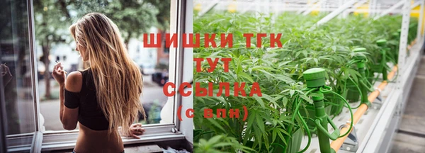 гашик Покров