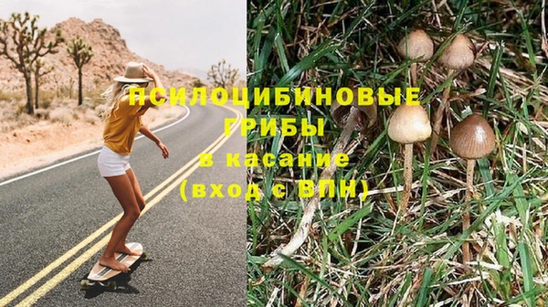 кокс Абаза
